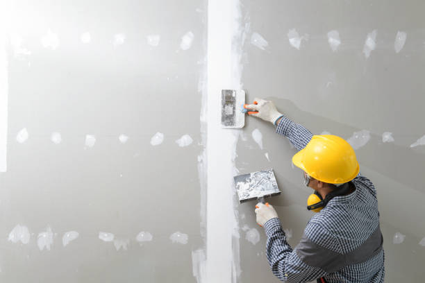 Best Forensic Mold Investigation  in Perry Hall, MD