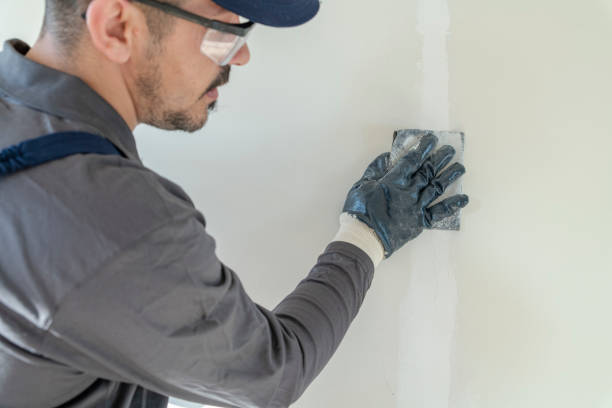 Trusted Perry Hall, MD Mold Removal Experts