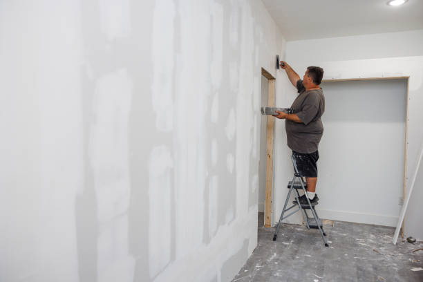 Best Biohazard Mold Removal  in Perry Hall, MD