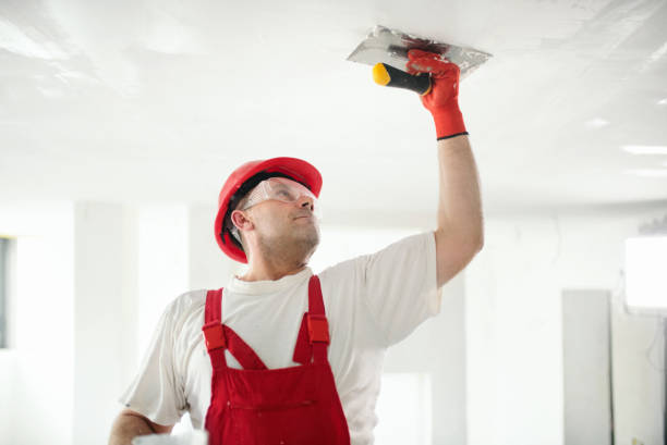 Best Real Estate Mold Inspection  in Perry Hall, MD
