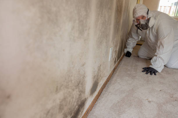 Best Crawl Space Mold Remediation  in Perry Hall, MD