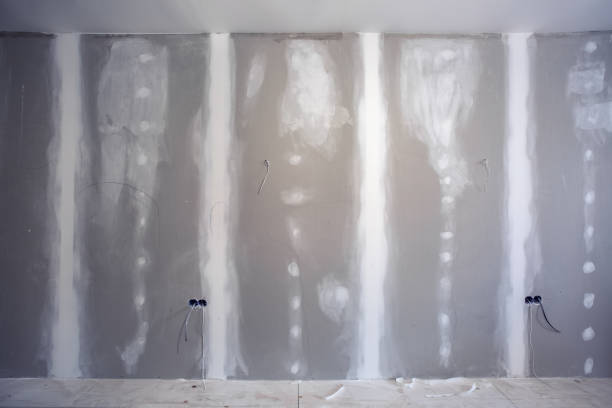 Best Mold Remediation for Rental Properties  in Perry Hall, MD